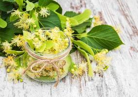 lindebloemen in een pot foto