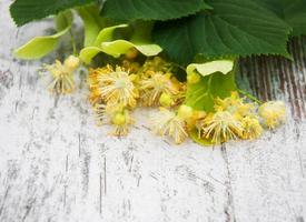 lindebloemen op tafel foto