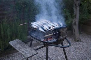 heerlijke barbecue met sardines die de dag van heilige john vieren op een achtertuin. traditionele Spaanse gastronomie foto