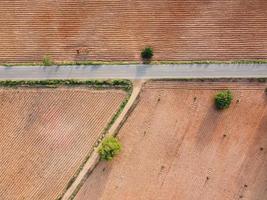 landbouwgrond op de berghelling op het platteland van Thailand, landschapsfotografie, dronefotografie foto