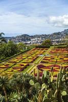 funchal, portugal, 13 februari 2020 - detail van de botanische tuin van madeira in fuchal, portugal. tuin voor het publiek geopend in 1960 en hebben meer dan 345.000 bezoekers per jaar. foto