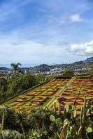 funchal, portugal, 13 februari 2020 - detail van de botanische tuin van madeira in fuchal, portugal. tuin voor het publiek geopend in 1960 en hebben meer dan 345.000 bezoekers per jaar. foto