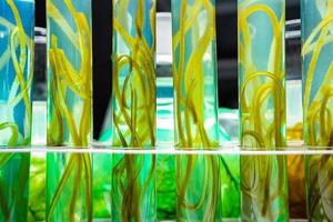 groene algen laboratoriumonderzoek, alternatieve biobrandstof energietechnologie, biotechnologie concept foto