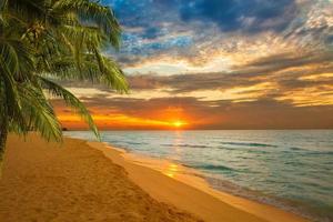 zonsopgang op een Caraïbisch strand foto