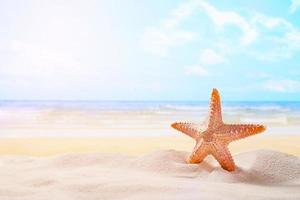 zeester op zomer zonnig strand bij oceaan achtergrond. reizen, vakantieconcepten foto