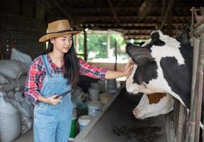 Aziatische vrouwen landbouw en landbouw industrie en veeteelt concept - jonge vrouwen of boer met tablet pc-computer en koeien in de stal op melkveebedrijf met koeienmelkmachines foto