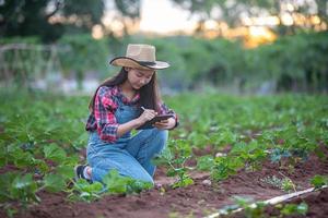 Aziatische vrouwelijke agronoom en boer die technologie gebruikt voor inspectie op agrarisch en biologisch groentegebied foto