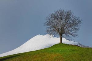 landschap met seizoenscontrasten in de bergen foto