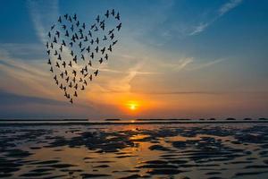 vogels silhouetten vliegen boven de zee tegen zonsopgang in de vorm van hart foto