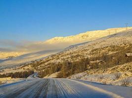 rijden bij gouden zonsopgang door bergen en bossen in noorwegen. foto