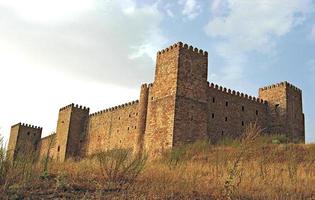 uitzicht op het middeleeuwse kasteel van medinaceli foto