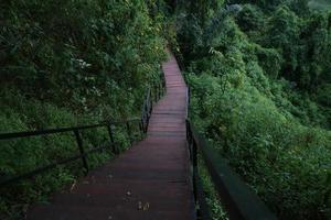 een lang houten pad midden in het bos foto