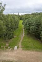 de gebaande paden in het veld, zijaanzicht vanaf de top. foto