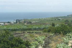 uitzicht op de groentevelden van het eiland tenerife, landbouw. foto