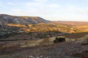 landschap van cyprus in de buurt van avakas-kloof. wild natuur foto