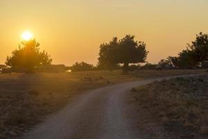 landschap van cyprus in de buurt van avakas-kloof. wild natuur foto