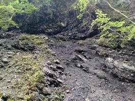 antraciet rotstak boom in karpaten berg donkere textuur voor achtergrond foto