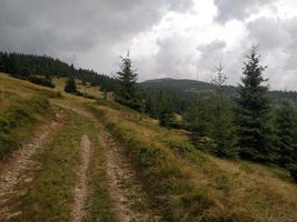 bergweg met sparren dichtbij helling oekraïne natuur karpatische landschappen wolken in de lucht foto