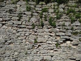 de muur met gras van het fort in de stad dubno. op een zomerse dag. foto