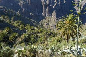 uitzicht op de bergen en het kloofmasker. foto