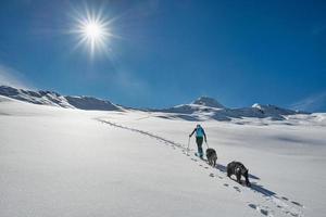 ski-alpinisme een vrouw beklimt de baan met haar twee honden foto