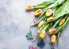 mooie geeloranje tulpen foto