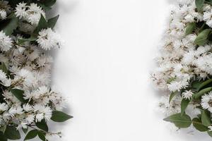 witte zomerbloemen op een witte achtergrond rond een wit vel. plat leggen, bovenaanzicht, ruimte kopiëren foto