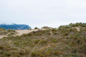 duinen met planten op het strand van laredo, cantabrië, spanje. foto