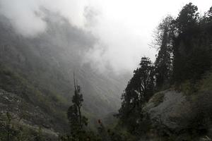 bergwolk bij kodaikanal foto