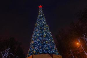 kerstboom in het park en lichte decoraties foto