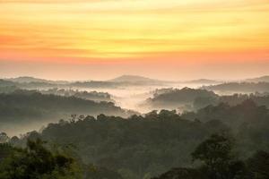 mooie zonsopgang in het bos van het bergenlandschap foto