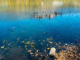 veelkleurige herfstbladeren op het blauwe oppervlak van het transparante water van het meer, close-up foto