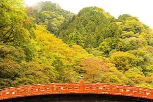 de shinko-brug in de herfst in nikko, japan, midden in de natuur in de herfst verandert van kleur. foto