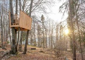 huis gebouwd op boom foto