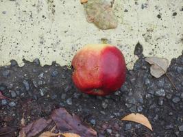 rode appel fruit foto