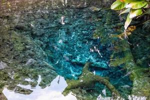 bua thong waterval en chet si fountion nation park chiang mai foto