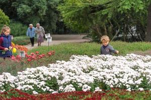 sochi, rusland-20 oktober 2017-mensen op de bloembedden in een openbaar park. foto