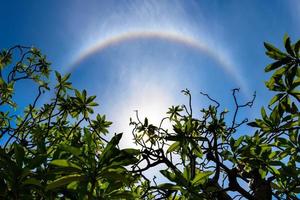 corona ring van de zon foto