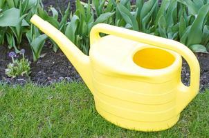 gele gieter voor het water geven van planten in de tuin. foto