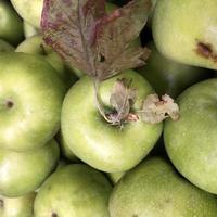 macro foto groene appels. stock photo groene appel fruit achtergrond