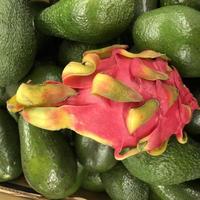 macro foto avocado en drakenfruit. stock photo tropisch fruit, draak en avocado