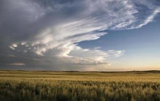 storm wolken saskatchewan foto