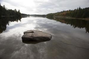 algonquin park muskoka ontario foto