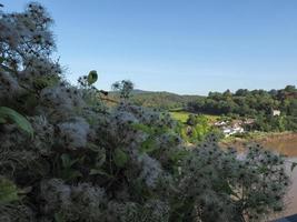 rivier y in chepstow foto