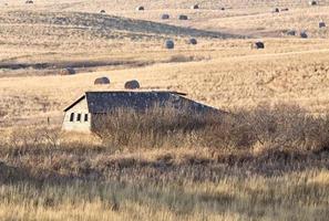 verlaten boerderij canada foto