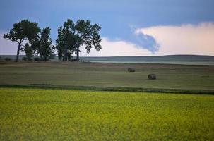 onweerswolken prairie hemel foto