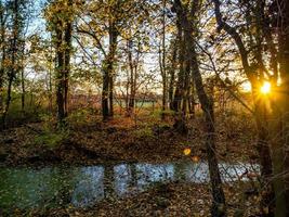 felle herfstkleuren in de vogezen. Elzas. foto