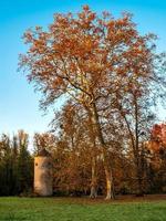 felle herfstkleuren in de vogezen. Elzas. foto