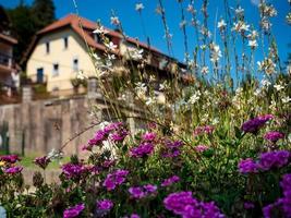 bloeiende dorp in de Elzas. zonovergoten straten vol bloemen. foto