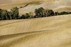 abstracte weergave van gele en bruine heuvels van Toscane, herfst foto